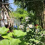 Room With A Garden